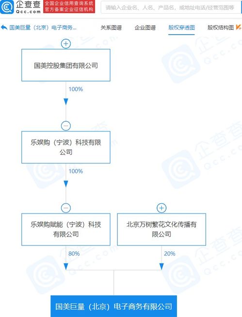 国美控股跨界布局，电商新公司融合零售与生活服务