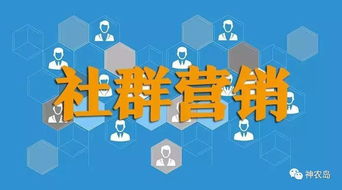 农产品不好卖？这10种网络营销模式，试过没有？（食品互联网销售实战指南）